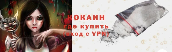 дживик Абаза