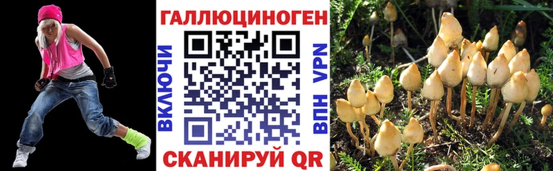 где можно купить наркотик  Карталы  Галлюциногенные грибы прущие грибы 